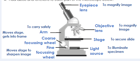 knowt flashcard image
