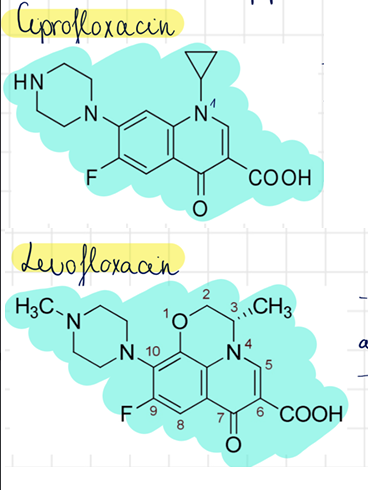 <p>ciprofloxacin (Ciprobay) <br>levofloxacin (Savulin)</p>