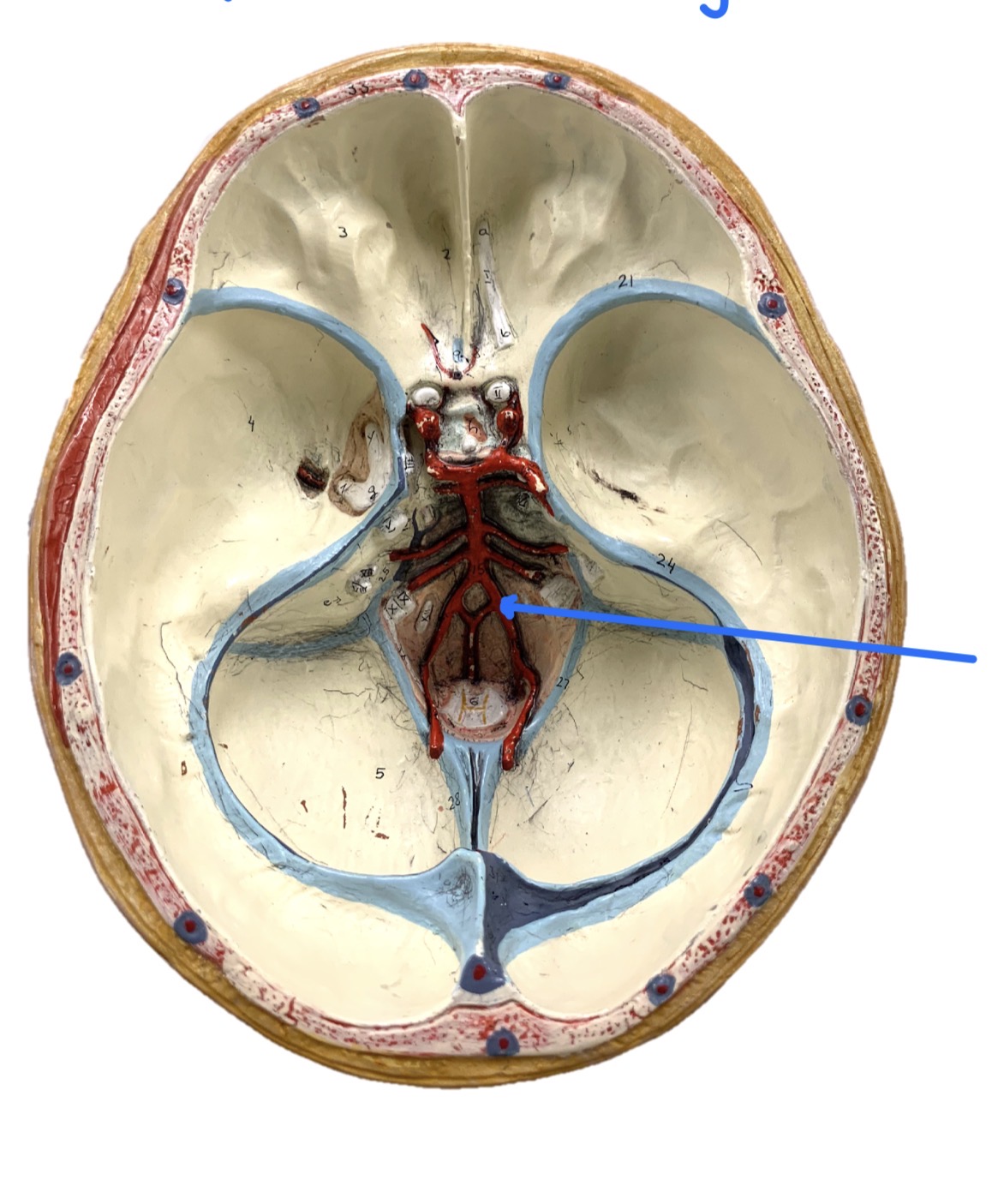 knowt flashcard image