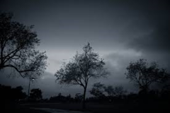 <p>dull and dark; bleak</p>