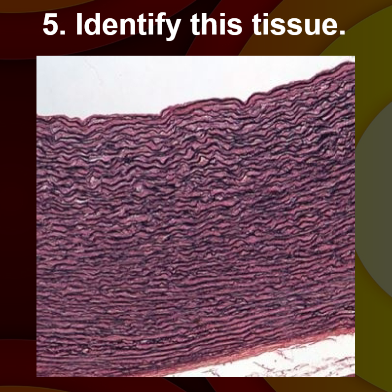 term image