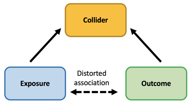 <p>A risk factor (C) which is related to exposure and outcome (A and B) BUT the exposure and outcome (A and B) are not related to one another.</p><ul><li><p>A and B are both associated with C</p></li></ul><p></p>