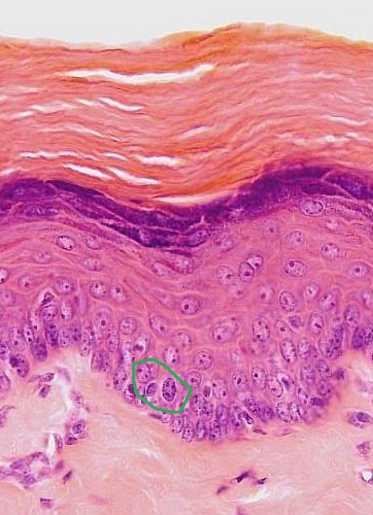 <p>What is happening and where?</p>