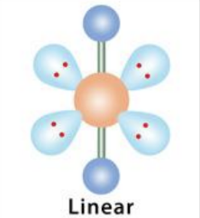 <p>linear, 180</p>
