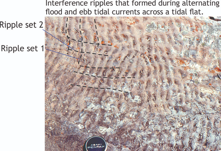 <p>Interference Ripples</p>
