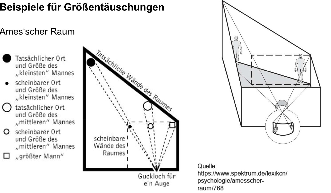 <p><span><strong>Phänomen der Größenkonstanz</strong></span></p><ul><li><p><span>Meistens nehmen wir ein unnd dasselbe Objekt als gleich groß wahr, egal in welcher Entfernung es sich befindet.</span></p></li><li><p><span>Dies liegt daran, dass das Gehirn aufgrund der vorhandenen Tiefenkriterien die Entfernung „abschätzt“ und den durch den Sehwinkel entstandenen Größeneindruck um diese vermutete Entfernung „korrigiert“</span></p></li><li><p><span>Unterbestimmten Ummständen können durch diese Verrechnung von vermuteter Entfernung und Sehwinkel aber auch Größentäuschungen entstehen, wie zb. Ames`scher Raum, mondtäuschung, Müller-Layer-Täuschung oder ponzo-Täuschung</span></p></li></ul><p></p>