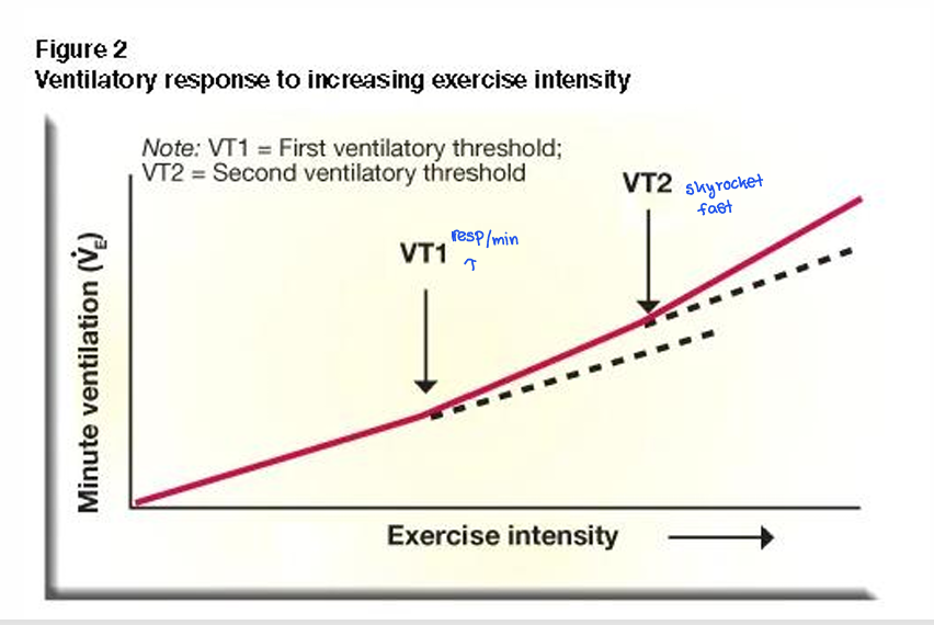 <p>also known as anaerobic threshold. With increased intensity, Ve begins to increase greater than VO2. Occurs at about 55-75% of VO2 max. </p><p>Onset of involuntary hyper-ventilation (excessive production of CO2 due to HCO3 buffering of H+ from lactic acid)</p>