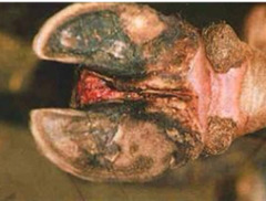 <p>What is this?</p>