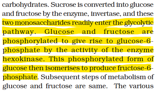 <p>The third step (first it is phosphorylized by fructokinase / hexokinase then it directly enters before the third glycolysis reaction)</p>