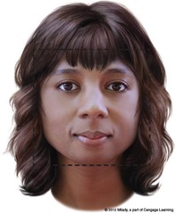 <p>un visage carré</p>