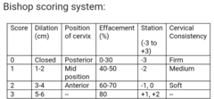 <p>determine the safety/need of labor induction</p>