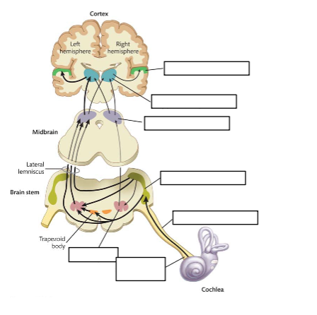 <p>Please label the boxes in the following image:</p>