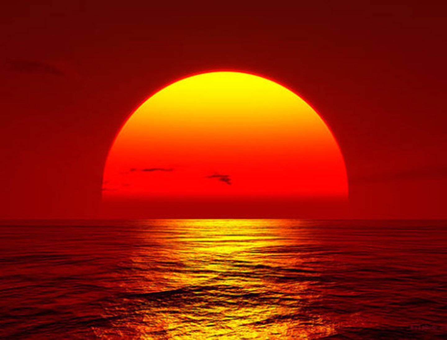 <p>(daily English) mặt trời mọc Ví dụ: The sun rises in the east.</p>