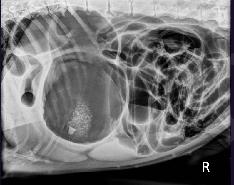 <p>What can be seen in this image and what is your Ddx</p>