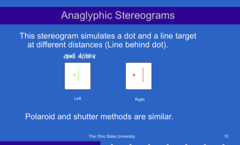 <p>What does an anaglyphic stereogram simulate?</p>