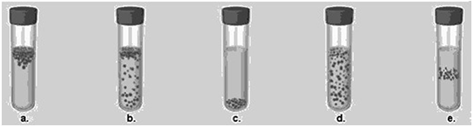 <p><span>In Figure 6.3, which tube shows the expected growth pattern for an obligate anaerobe?</span></p>