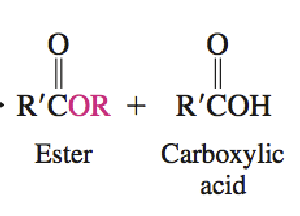 <ul><li><p>cleaves at O, replaces with alkoxide (OR)</p></li></ul><p></p>