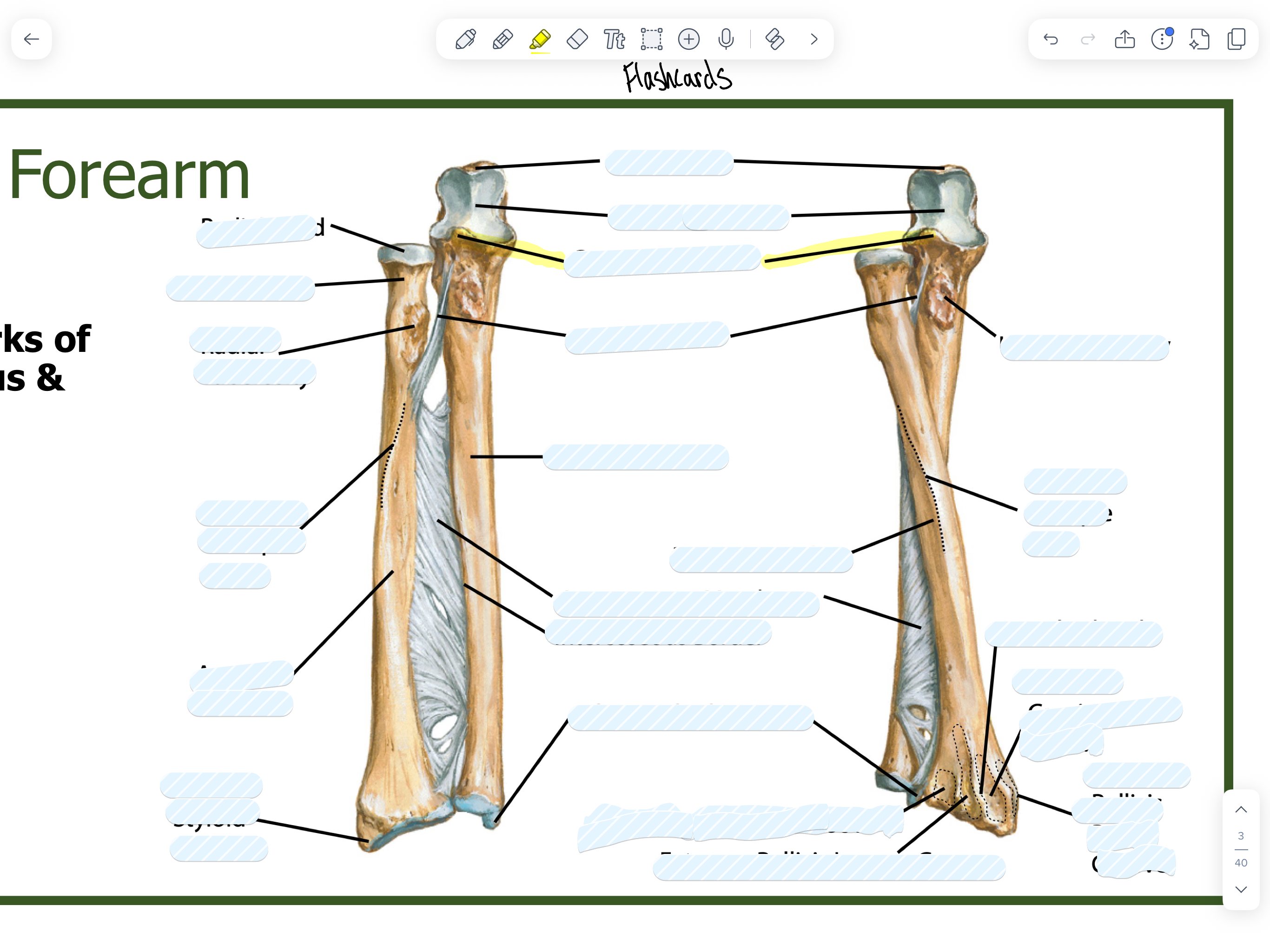 knowt flashcard image