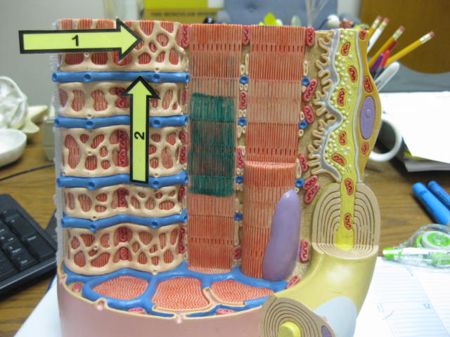 <p>What is at #2?</p>