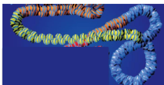 <p>What is a euchromatin?</p>