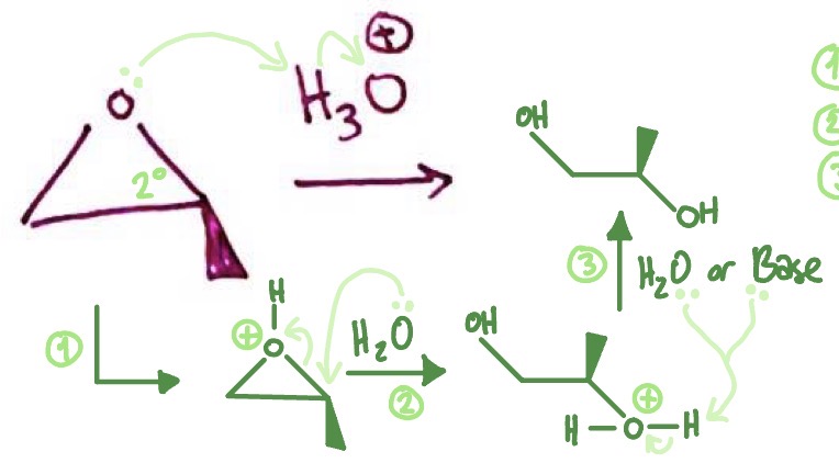 <p>epoxide takes H from acid and becomes positive → CB of acid attacks most substituted carbon as ring breaks → H from positive H2O is taken by CB</p>