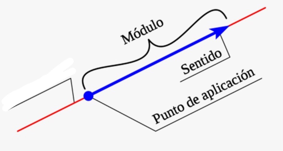 <p>Que parte del vector falta</p>