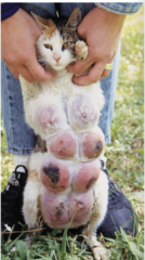 <p>What is this?</p>