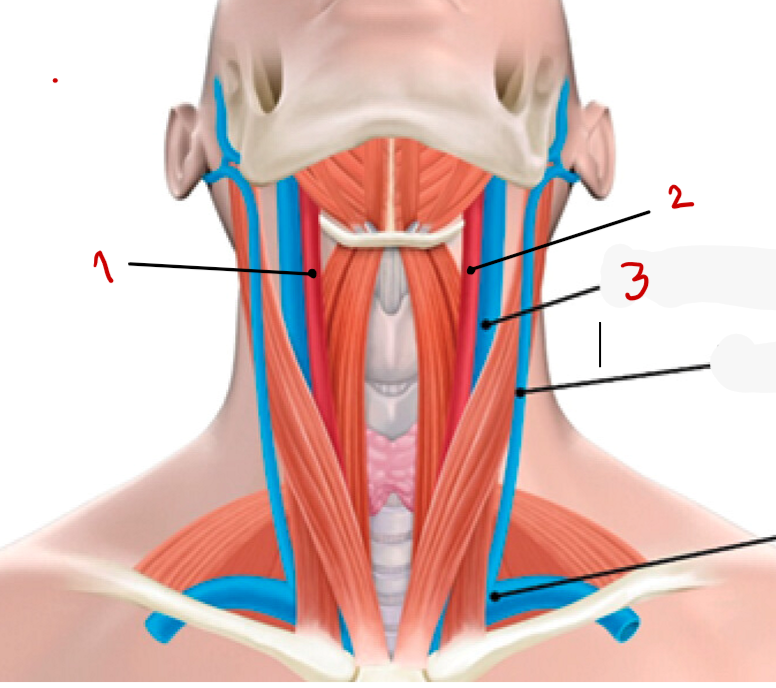 <p>1? </p>