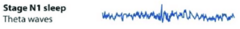 <p>theta waves</p>