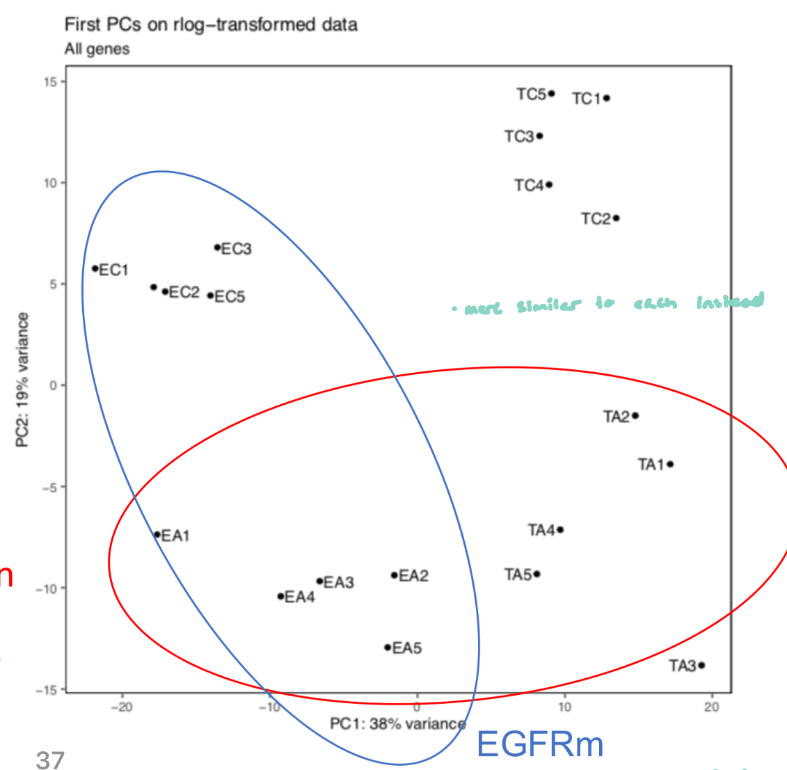 <p>PC1: 38% variance EGFRm drives variance</p><p>PC2: 19% variance Air pollution drives variance</p>