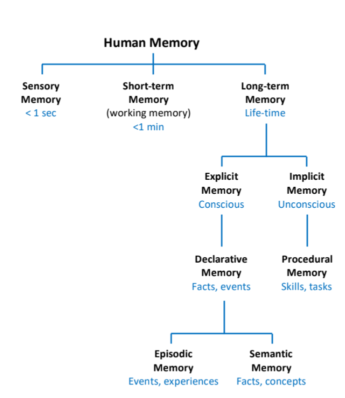 <p>process of putting new info into memory</p>