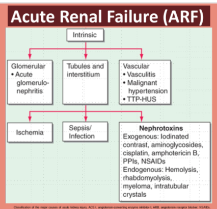 <p>intrinsic renal </p>