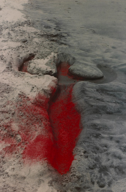 <p>Untitled (from Silueta series)</p>