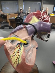 <p>What is this?</p>