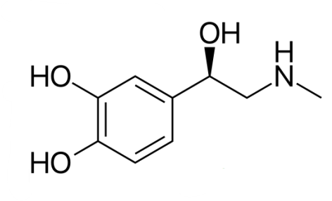 <p>What is this structure?</p>