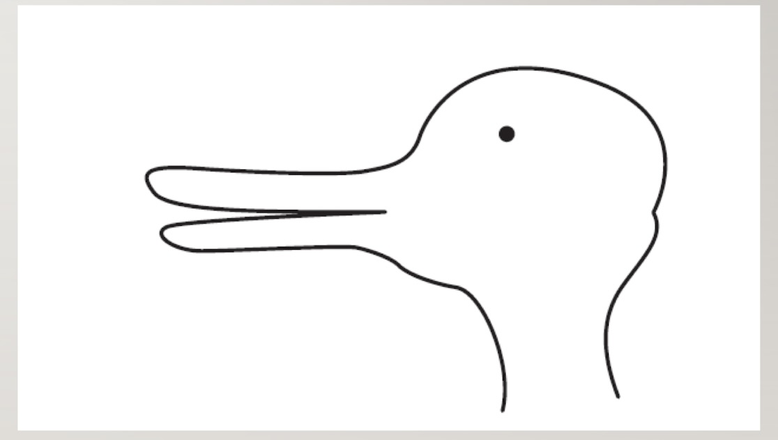 <p>evidence not just for visual processing or verbal, but both</p><ul><li><p>overwhelming evidence for visual</p></li></ul><p>abstract processing links them - propositional </p><ul><li><p>images are not the same as percepts, does not contain the same amount of detail (how many stripes does your tiger have?)</p></li><li><p>or to rearrange as easily (ie due or rabbit? 5 sec exposure, cant do it w just imagery)</p></li></ul><p></p>