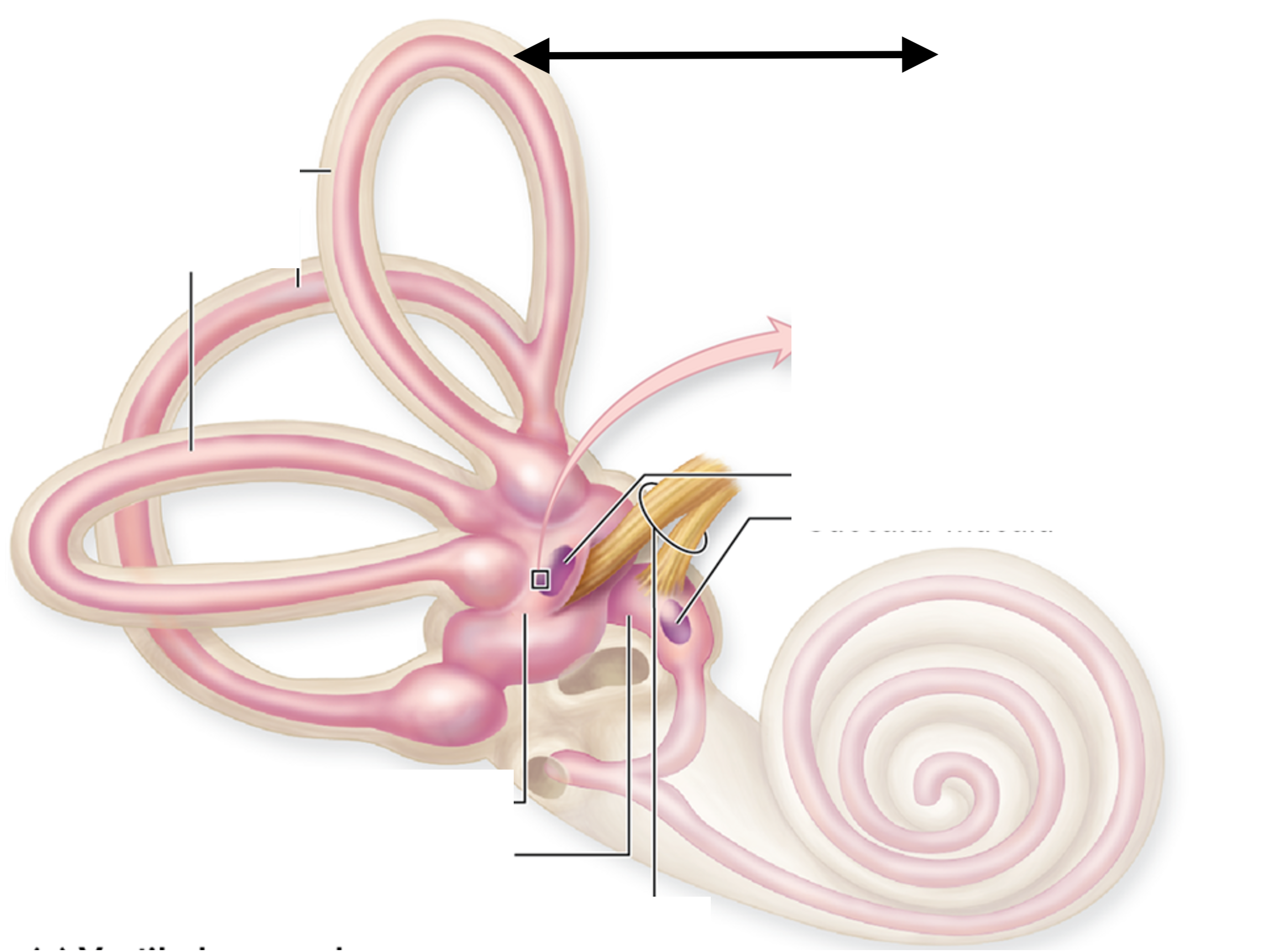 <p>ID the structure (be specific)</p>