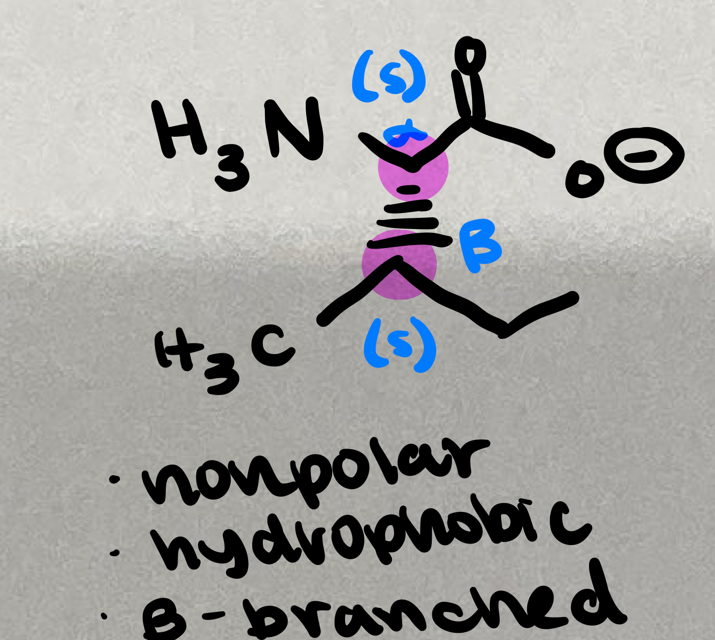 <p>Non- polar, hydrophobic, saturated hydrocarbons </p><p>Branched Chain Amino Acids (BCAAs) </p>