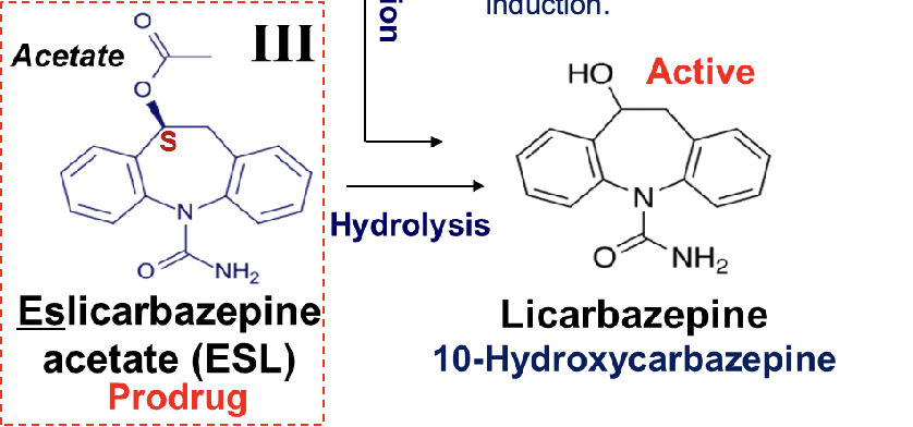 <ul><li><p>prodrug, acetate ester with S configuration</p></li><li><p>less potent with less serious SE due to absence of epoxide of iminoquinone metabolites</p></li><li><p>hydrolyzed into active metabolite→ licarbazepine</p></li><li><p>hydroxy group in the 10 position of ring minimizes the enzymatic induction of the cytochrome P450 and autoinduction</p></li></ul><p></p>