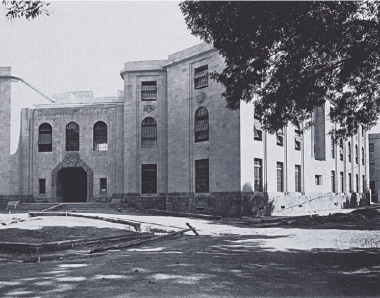 <p>Who designed the Ministry of Health?</p>