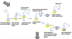 <p>A French chemist, this man discovered that heat could kill bacteria that otherwise spoiled liquids including milk, wine, and beer (pasteurization).</p>