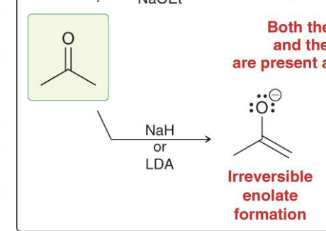 <ul><li><p>Forms irreversible enolate</p></li></ul><p></p>