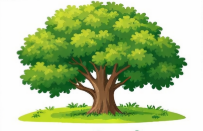 <p>APAKAH GAMBAR INI?</p>