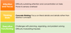 <p>-attention and focus</p><p>-concrete thinking</p><p>-executive functioning (challenges with planning, organizing, and problem solving)</p>