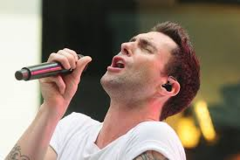 <p>singer (male/female)</p>