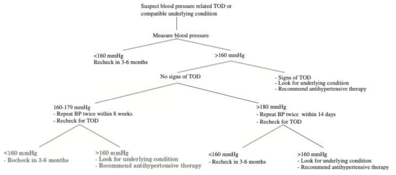 <p><u>Begin Treatment When:</u></p><ol><li><p>Single record of hypertension WITH EOD (end-organ damage = fundic examination)</p></li><li><p>Hypertension without EOD confirmed with ≥ 2 measurements on separate occasions (160 - 179mmHg) within 8 weeks</p><ul><li><p>Two instances may be a few days apart</p></li></ul></li><li><p>Hypertension without EOD confirmed with ≥ 2 measurements on separate occasions > 180mmHg within 14 days</p></li></ol><p></p>