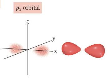 <p>two lobes of electron density along the x axis</p>