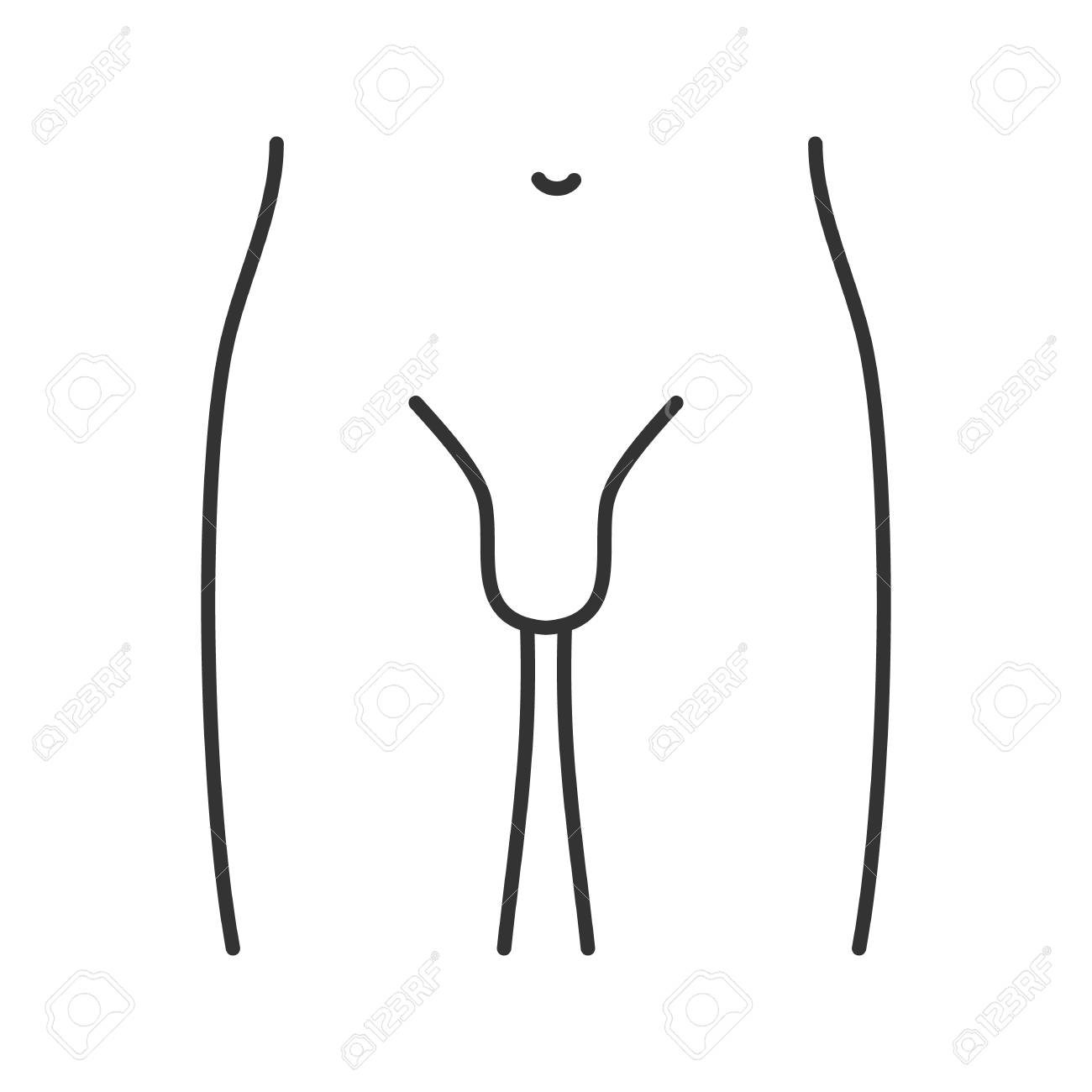 <p>groin</p>
