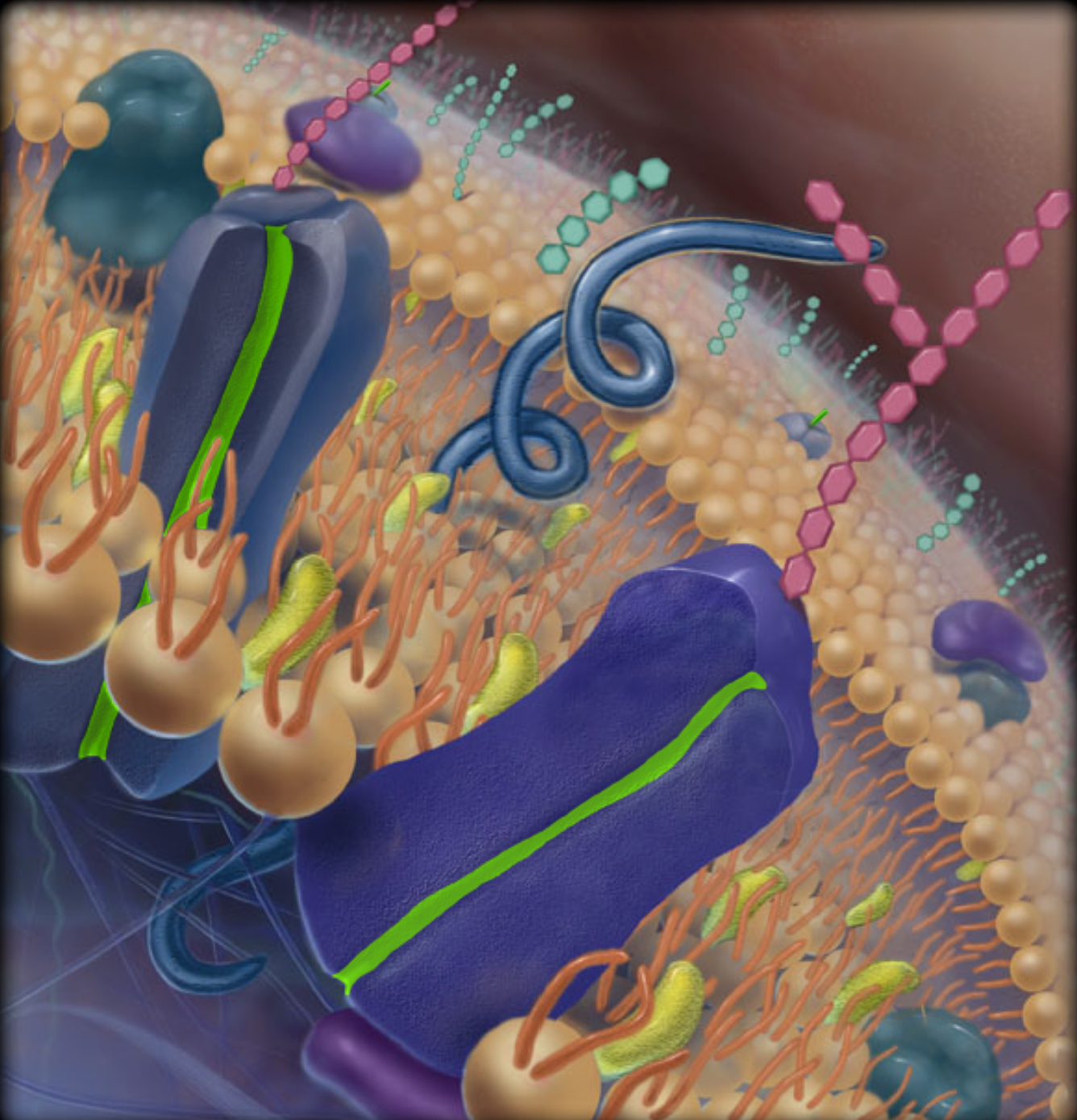 <p>part highlighted in neon green</p>