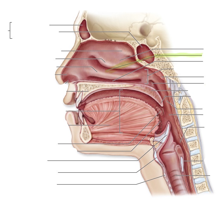 <p>what is this </p>